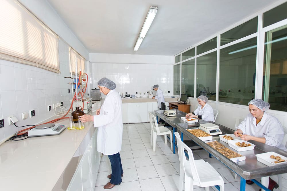 Technicians at work in the Gabay quality control laboratory