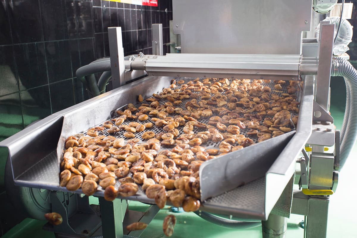 Dried figs moving across a stainless steel processing line at the Gabay plant in Koçarlı